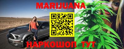 мдпв Бийск