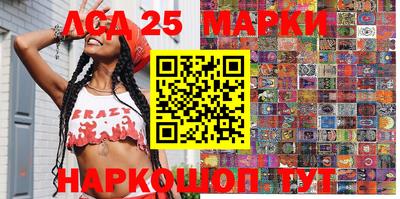 мдпв Бийск