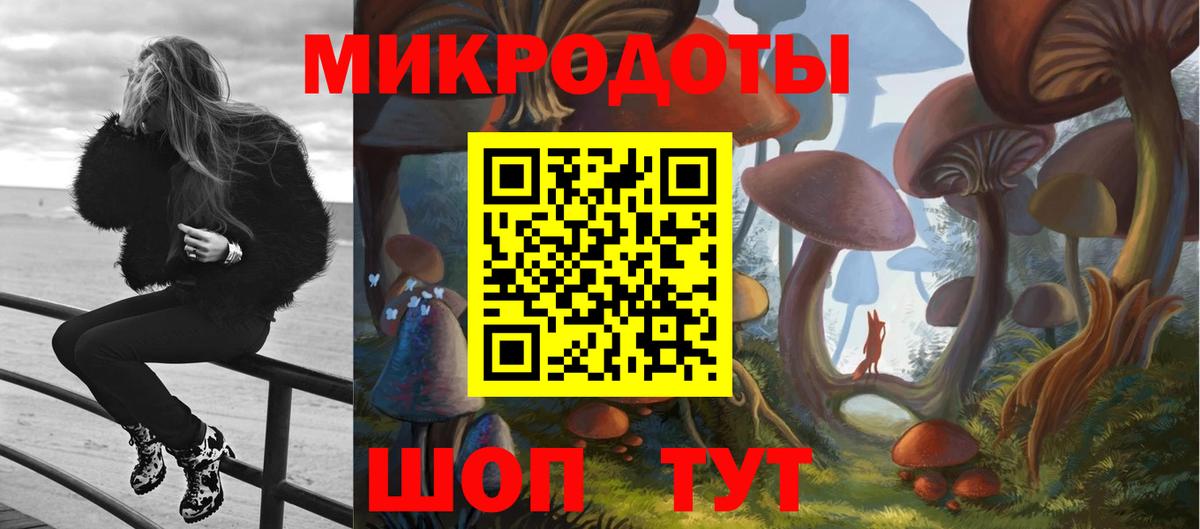 Псилоцибиновые грибы Psilocybine cubensis  Вход с VPN  Коломна 